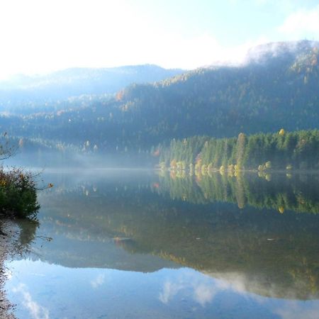 Ferienwohnung Neuper Bad Mitterndorf Dış mekan fotoğraf