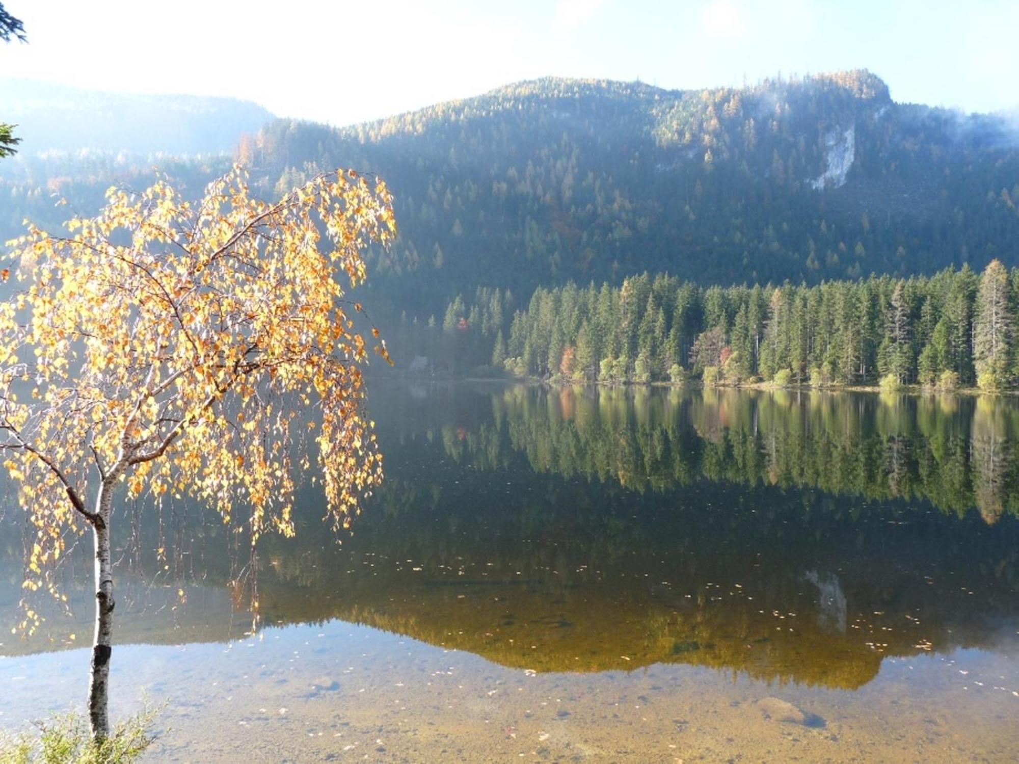 Ferienwohnung Neuper Bad Mitterndorf Dış mekan fotoğraf
