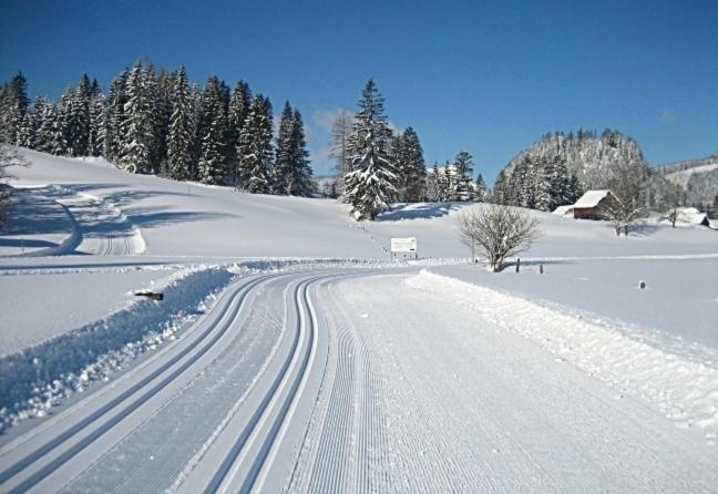 Ferienwohnung Neuper Bad Mitterndorf Dış mekan fotoğraf
